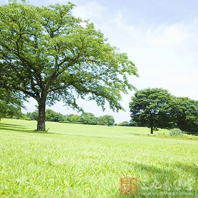 人是天地所生的，天以气养人的阳，地以食物养人的阴