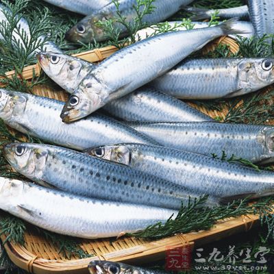 沙丁鱼富含磷脂即OMEGA-3脂肪酸、蛋白质和钙