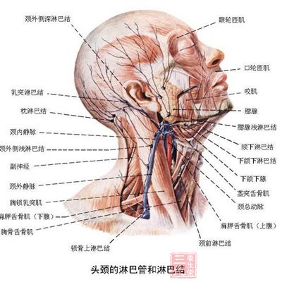 原发性食管淋巴癌的症状 警惕食管淋巴癌(2)