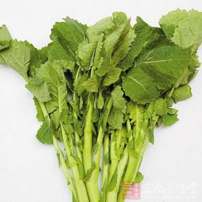 油菜中含有豐富的鈣、鐵和維C，其中所含的維C比大白菜高