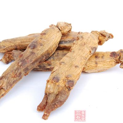 將高麗參磨成細粉，每天吞服