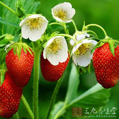 20140627190116_wz3vy.thumb.700_0