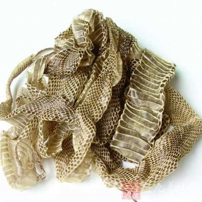 蛇蜕的功效与作用-三九养生堂养生百科