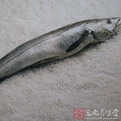 銀鱈魚身體內(nèi)含有大量脂肪，黑色或灰黑色皮膚皮純白肉豐富的油脂