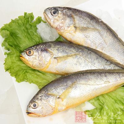 黃花魚含蛋白質(zhì)、脂肪、維生素B1、B2和煙酸、鈣、磷、鐵、鉀、碘等成分