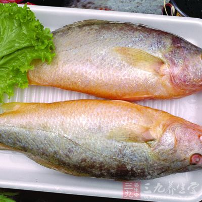 黃魚富含碘、磷、鐵、鈣、脂肪