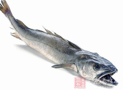 银鳕鱼和鳕鱼的区别 两种鱼各有不同--三九养生