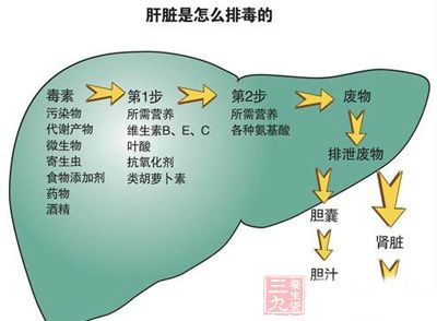男女每天做这事竟能救命 - 三九养生堂