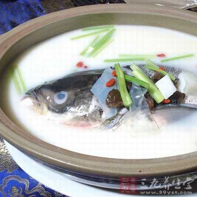 鱼头豆腐汤的做法最正宗的做法 鱼头新美味