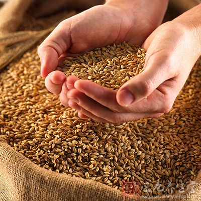 小麦属于性凉味甘的五谷类食物