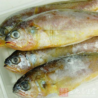 黃花魚雖然有很高的食用價值，但食用過多卻容易生痰助毒、發(fā)瘡助熱