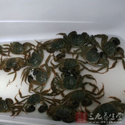 螃蟹怎么保存 保存螃蟹的3个方法
