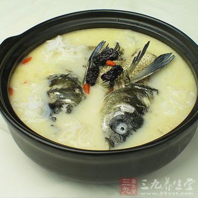 菊花鯉魚(yú)湯