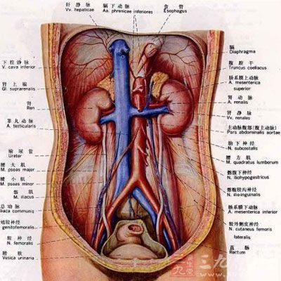 男性膀胱炎的危害 男性膀胱炎的危害有哪些