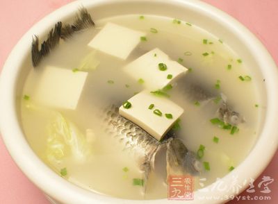 豆腐鲫鱼汤是一道营养汤中的佳品