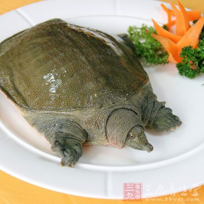 食用一些富含鐵的食物。如：動物肝臟、甲魚