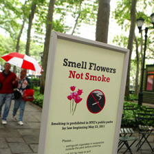 纽约禁烟为何卓有成效