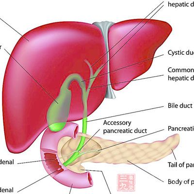 肝囊肿病因大多数系肝内小胆管发育障碍所致
