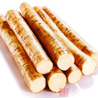 牛蒡的营养价值--三九养生堂专家专栏