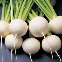 白萝卜营养价值--三九养生堂专家专栏