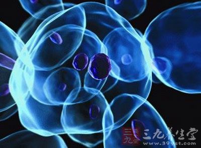 干细胞临床治疗未熟先热