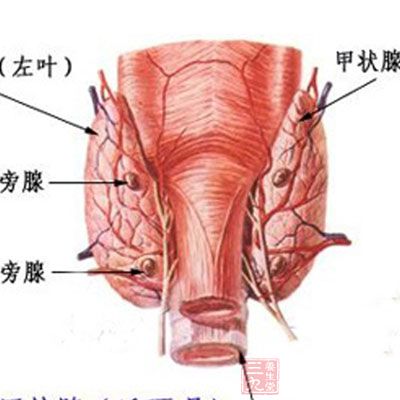 亚临床甲减的预防 怎么预防亚临床甲减(2)