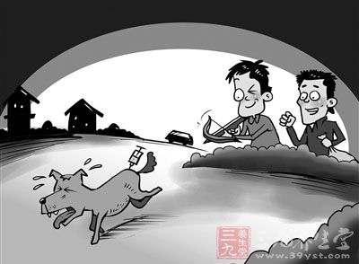 在屠宰,清洗后,狗肉组织内含的有害物质会流失一部分,但残留药物依然