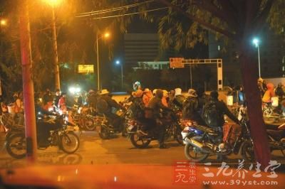 青海千人盗采草原黑枸杞 持刀扎伤守卫者