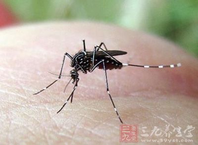 蚊子具有很强的嗅觉能力甲减 蚊子具有很强的嗅觉能力甲减