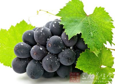 葡萄中含有丰富的营养成分，主要含糖类、蛋白质、脂肪、维生素A
