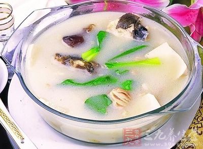 家常鱼头豆腐汤