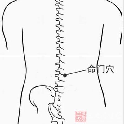 用手指指腹端，点压腰部的命门