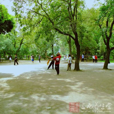 找到一個熱鬧的公園，在自己有充足的時間里，安靜的坐下來