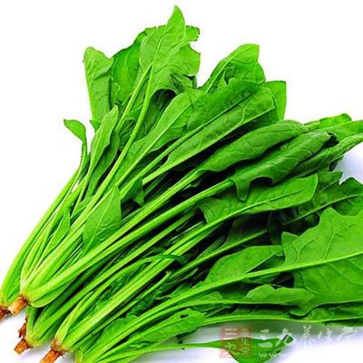 菠菜——补血利便 菠菜——补血利便