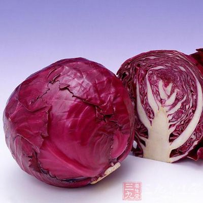 甘蓝——天然胃菜 甘蓝——天然胃菜