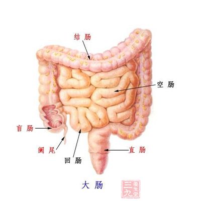 防直肠癌——观察排气量