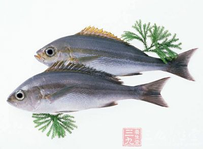 專家認(rèn)為，過(guò)于頻繁地吃魚可能會(huì)對(duì)發(fā)質(zhì)產(chǎn)生不利影響