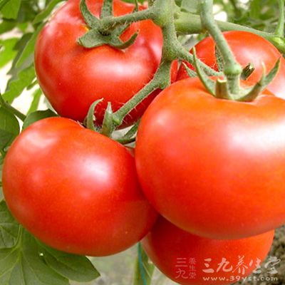 番茄红素能对抗紫外线损伤