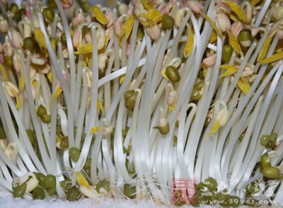 绿豆芽的营养价值--三九养生堂专家专栏