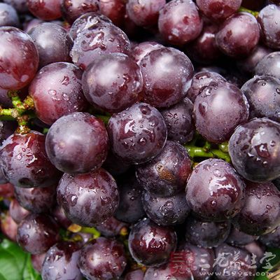 葡萄不仅含有铁、钙等微量元素，还有丰富的维生素等营养元素