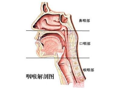 慢性咽炎的症状_小儿慢性咽炎最佳治疗方法及偏方 - 三九养生堂