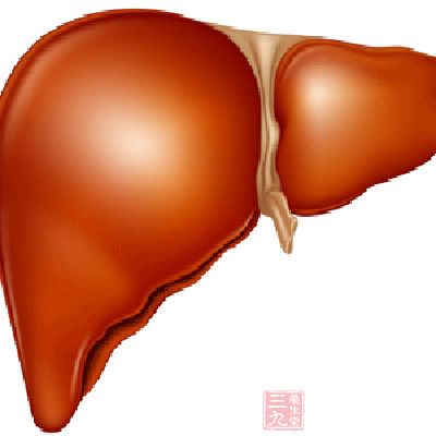 临床表现多样，可似急性肝炎，也可为慢性肝炎、重型肝炎