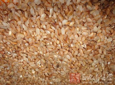 粳米是什么米 粳米是我们熟悉的大米吗-三九养