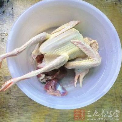 鸽子一定要新鲜现杀