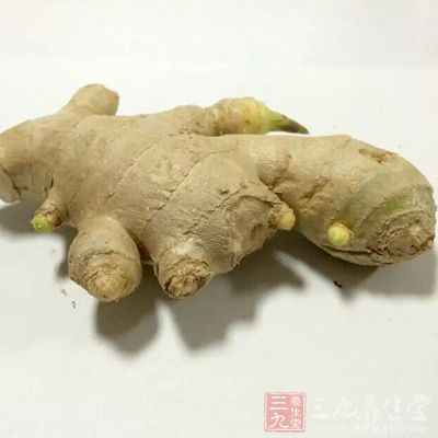 姜历来受养生人士推崇，作为调味品可以去腥，是炖鱼、炖肉的必备食材，还能温胃散寒，解毒杀菌