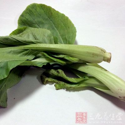 小白菜又叫青菜、鸡毛菜