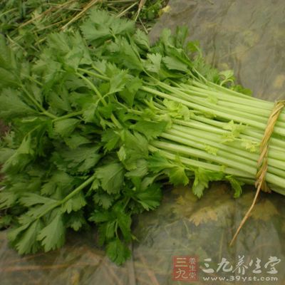 芹菜每100克钙含量也在150毫克左右