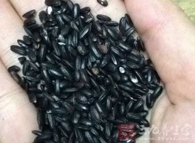 黑米的米芯是白色的