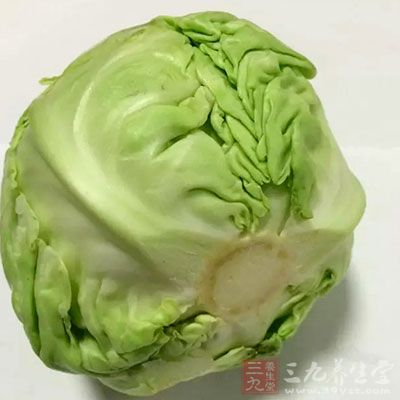 圆白菜亦是开十字花的蔬菜