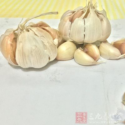 大蒜是很多美食中不可缺少的一味调味食材